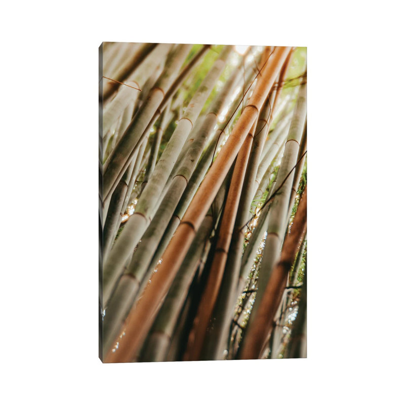 Bamboo Study LI 1 Piece Wrapped Canvas Wall Art, 66.04 cm H x 45.72 cm W x 1.91 cm D