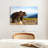 Crowle Mountain Bear-111960594