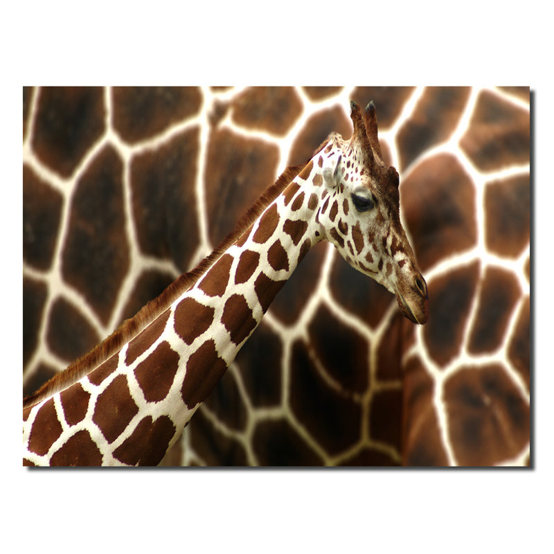 Girafe - reproduction de photo, H 20 po x l 30 po x P 1 po