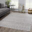 Tapis gris Dounia-636924995