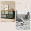 100 cm W Chest of 5 Drawers