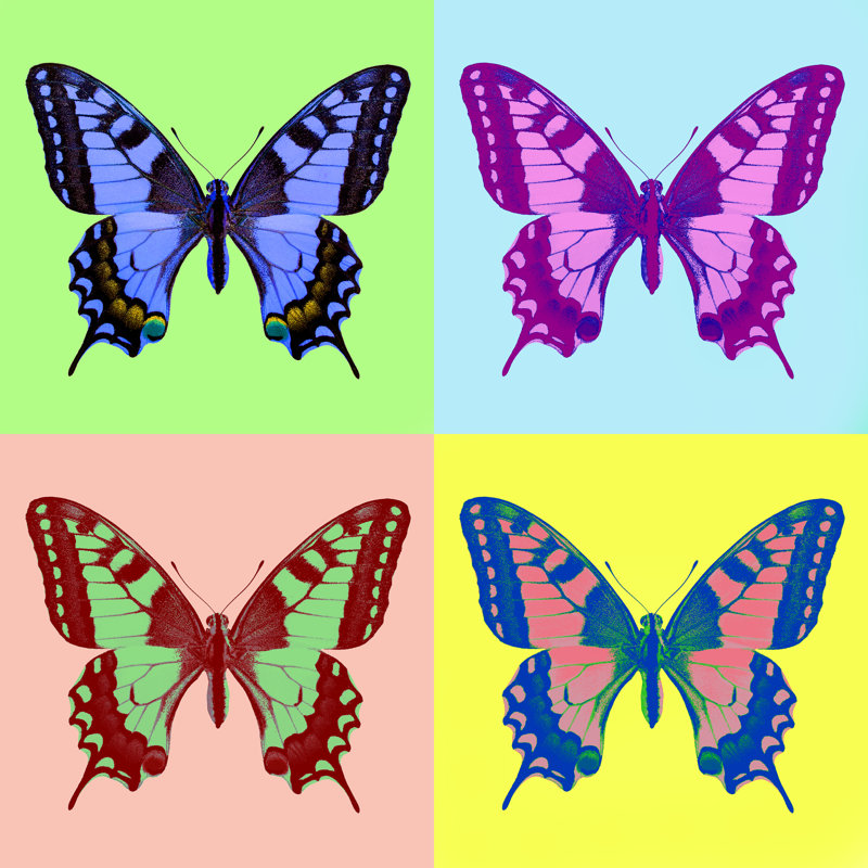 Adelric Butterfly Illustration - Wrapped Canvas Print, 30cm H x 30cm W x 3.8cm D