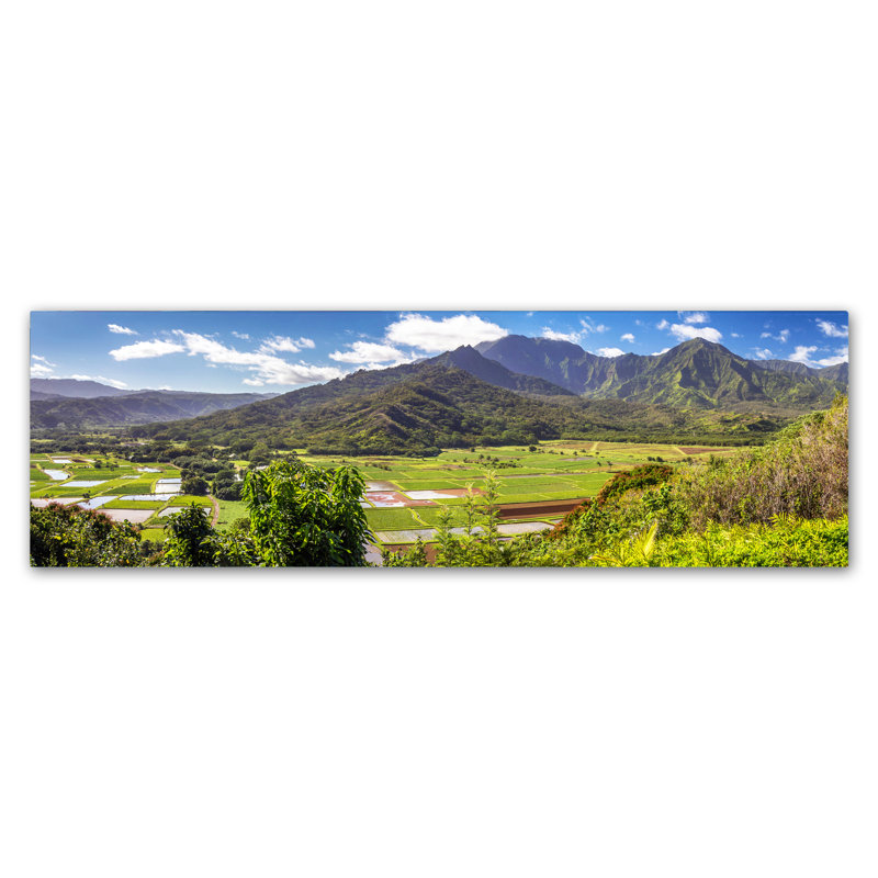 Fabrizzio Pierre Leclerc Hanalei Kauai - reproduction de photo sur toile, H 8 po x l 24 po x P 2 po