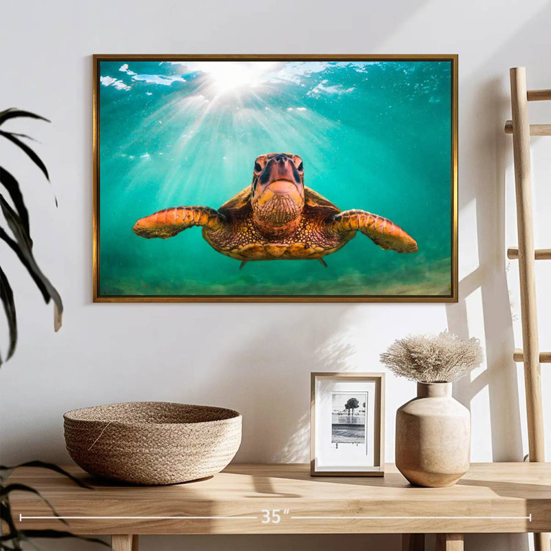 Tortue verte de Maui, 25 po x 17 po, Cadre flottant doré