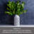 Elements Artificial Gingko Branch, 25 Inch-117404755
