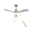 Lustre ventilateur de plafond moderne à DEL 42 po avec télécommande Jhamarion-2092615410