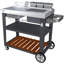 Charbroil Entertainer Deluxe Indoor/Outdoor Grilling & Bar Cart