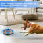Jouets interactifs pour chien-115283990