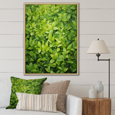 Herbes, thym, passage 1 - Art floral