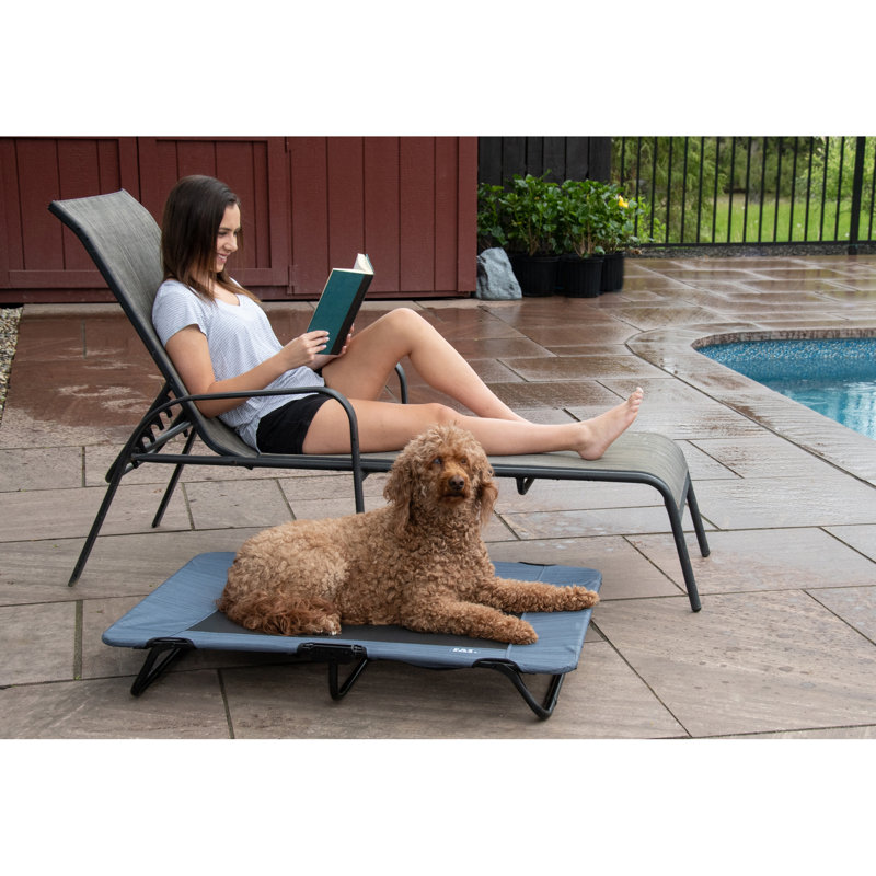 Lit pour animaux, l 30 po x P 20 po x H 5,6 po, Bleu lac