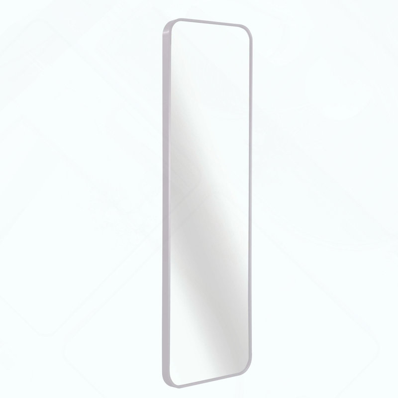 Accent Door Mirror., Silver
