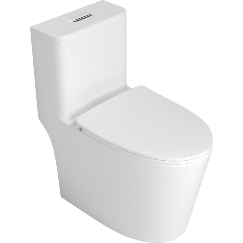 Toilette une pièce avec accessoires de haute qualité
