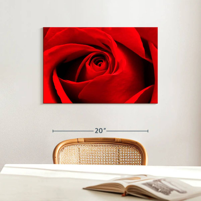Harnek, gros plan d'une rose rouge, H 16 po x l 24 po