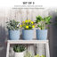 Pot Planter-409298705-409298707