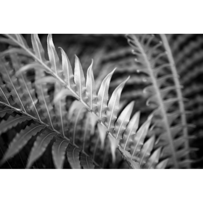 1 Piece Wrapped Canvas Wall Art, 61cm H x 91cm W x 3.81cm D