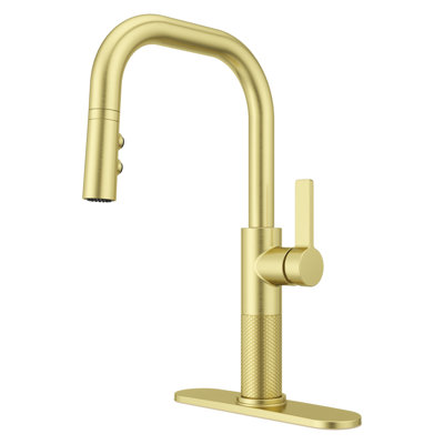 Pull Down Single Handle Kitchen Faucet