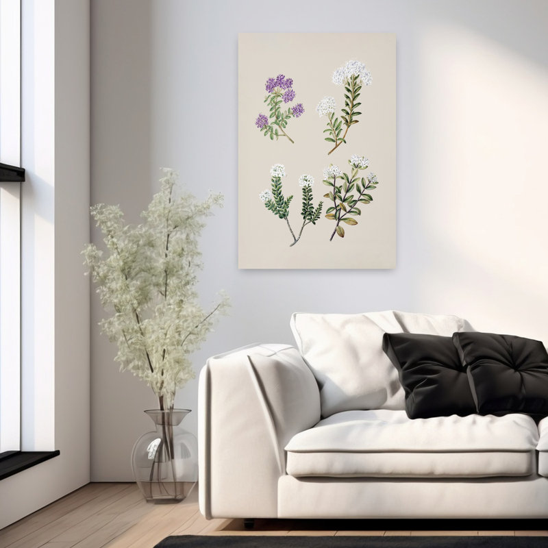 «Veronica 4 Species Drawn» par Sarah, art mural rétro contemporain abstrait, H 36 po x l 24 po
