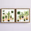 «Interior Oasis Diptych», ensemble de 2 reproductions encadrées-29546819