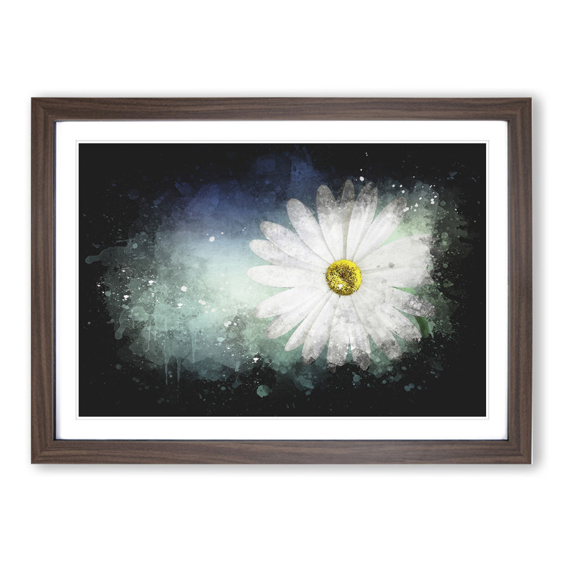 White Daisy Vol.2 - Picture Frame Graphic Art, 65cm H x 90cm W x 2cm D, Walnut Framed