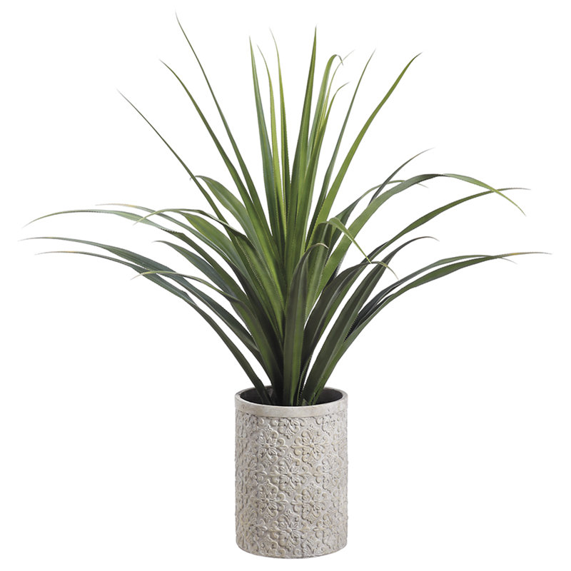 58"DRACANA IN CEMENT PLANTER