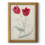 Toile encadrée de qualité supérieure Antique Botanical Collection III - prête à être accrochée-2023189238