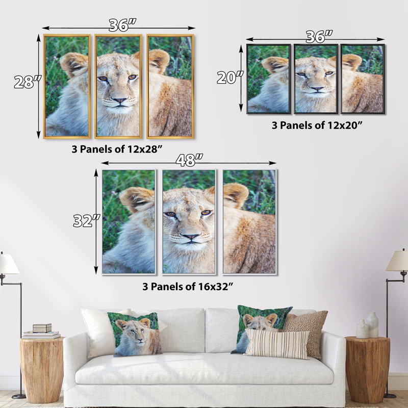 Grand lion se détendant dans la forêt - ensemble d'art mural sur toile encadré 3 animaux, Encadrement doré