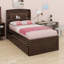 Lit Kendale-1310072579-1310072578