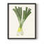 Reproduction encadrée Organic Veg II - bois massif-417907422-417907408