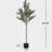 66" Artificial Olive Tree with Black Plastic Pot