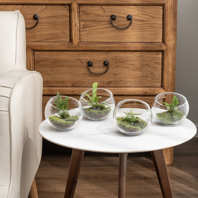 Bougeoirs décoratifs en verre 4 pièces Terrariums