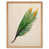 Light Brown Framed Paper is out of stock selected