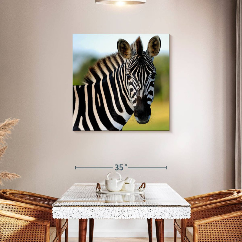 Brampt Staring Zebra, 36" H x 36" W
