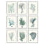 Arrangement de coraux profonds, plante de l'océan bleu par Johann Esper-70677950-70677953