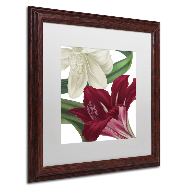 «Christmas Amaryllis II» par Jadaya, impression encadrée, Blanc, H 16 po x l 16 po x P 0,5 po