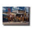 Williams Cowboys - photographie sur toile tendue-877430044