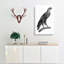 Greater Spotted Eagle - Wrapped Canvas-55315679