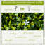 Artificial Plant 