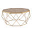 Nayi Frame Coffee Table