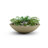 Oceanside Shallow Concrete Planter-714593622-714593642