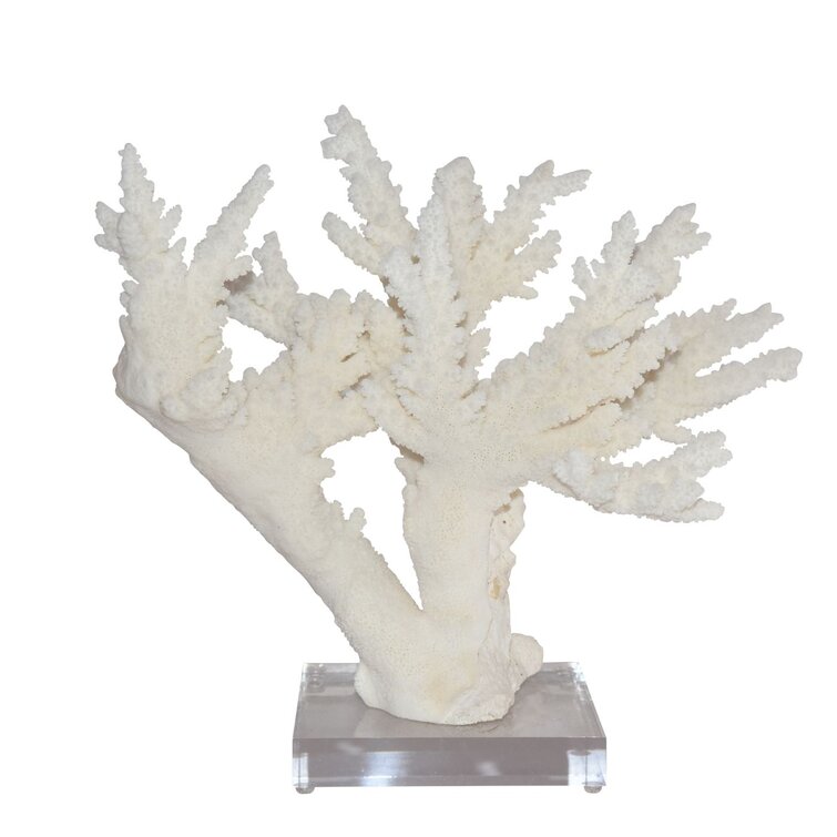 Branch Coral on Acrylic Base Sculpture