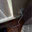 Customer photo 5 of 5