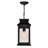 Luminaire suspendu d'extérieur noir 1 lumière Biergh-1769914760