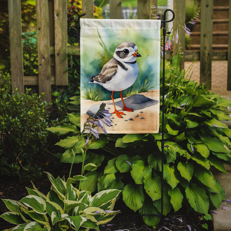 Drapeau de jardin Surfbird Bird, Pluvier siffleur