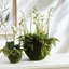 Stiles Faux Floral Arrangement