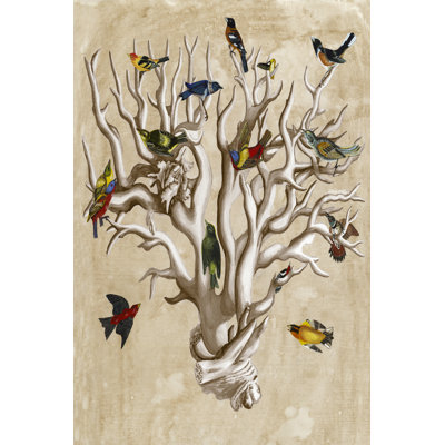 The Ornithologists Dream I by Naomi McCavitt - 1 Piece Wrapped Canvas Painting