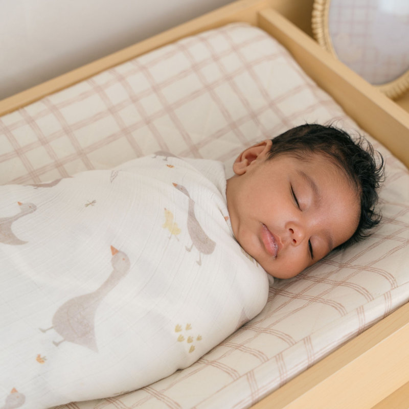 2-pc. Goose/Check Swaddle Set