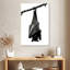 Chauve-souris à l'envers monochrome Brampt-108381406