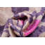 Coussin décoratif-443926885-443926884