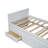 Multifunctional Daybed 3-drawer Platform Bed With Desk And Trundle, Twin Size-1583688094