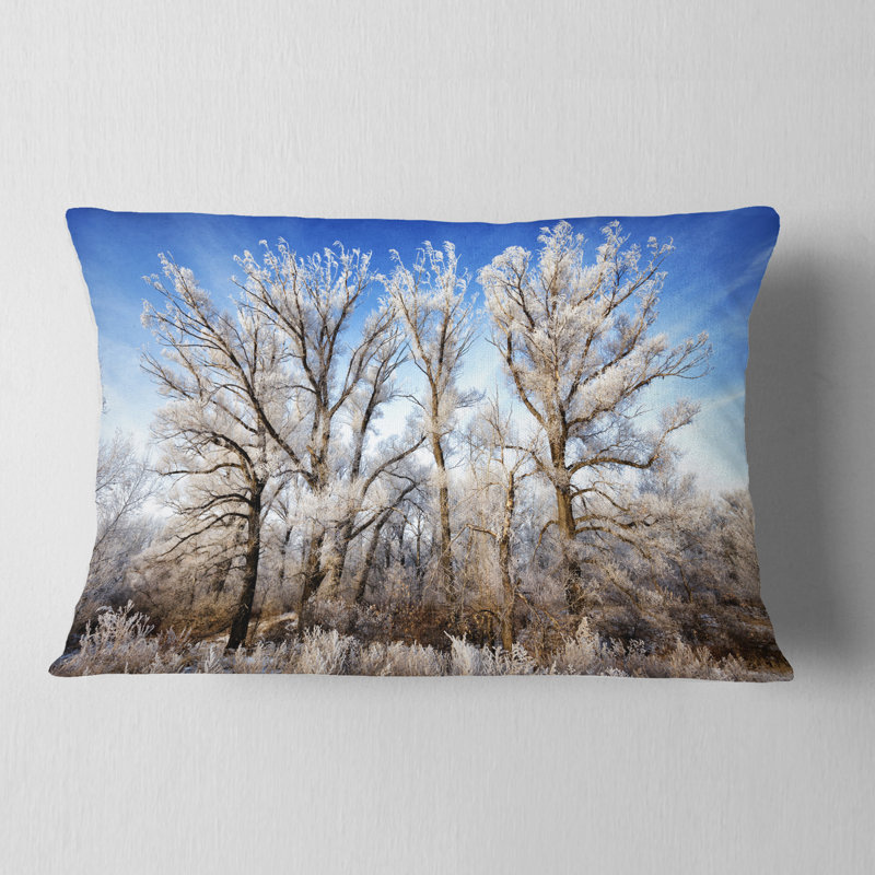 Coussin décoratif «Beautiful Winter Evening View» - paysage imprimé, 12 po x 20 po, Rectangle